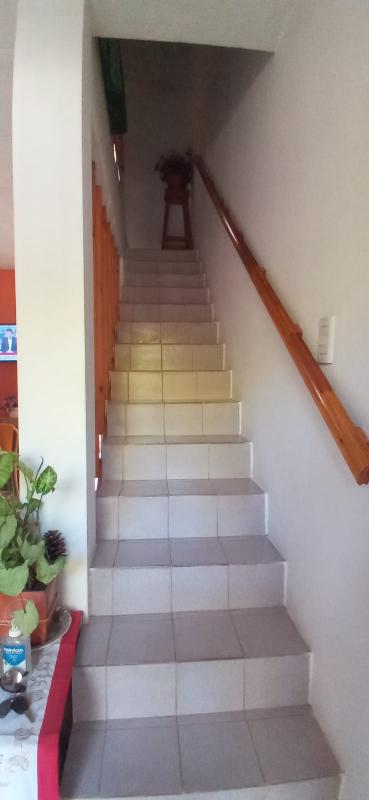 Imagen 5
