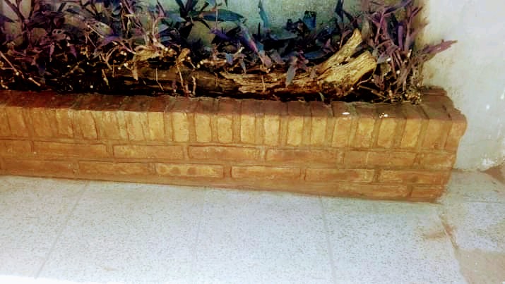 Imagen 2