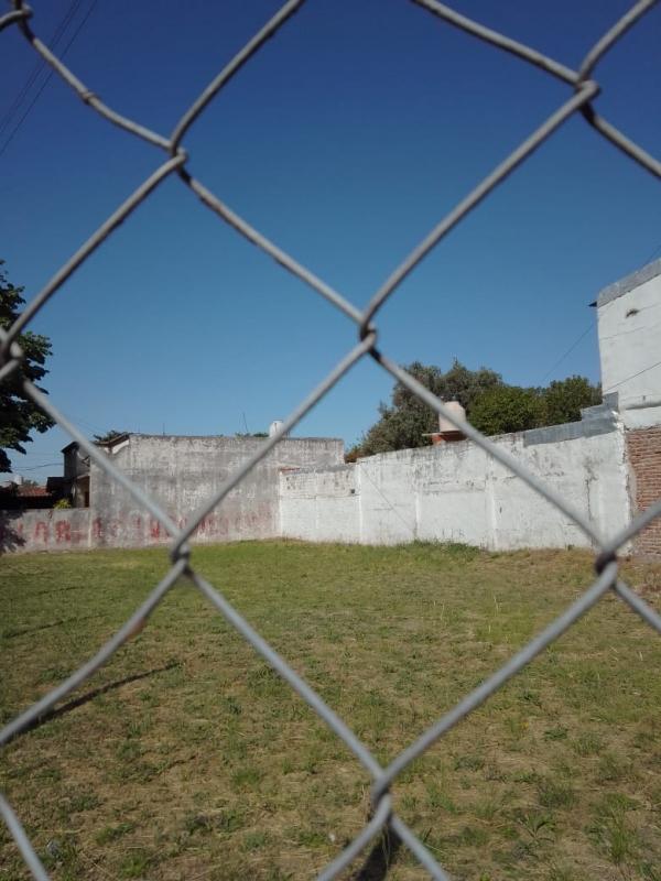 Imagen 2