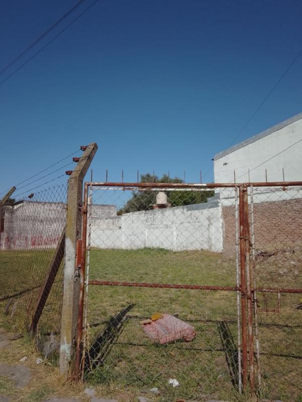 Imagen 3