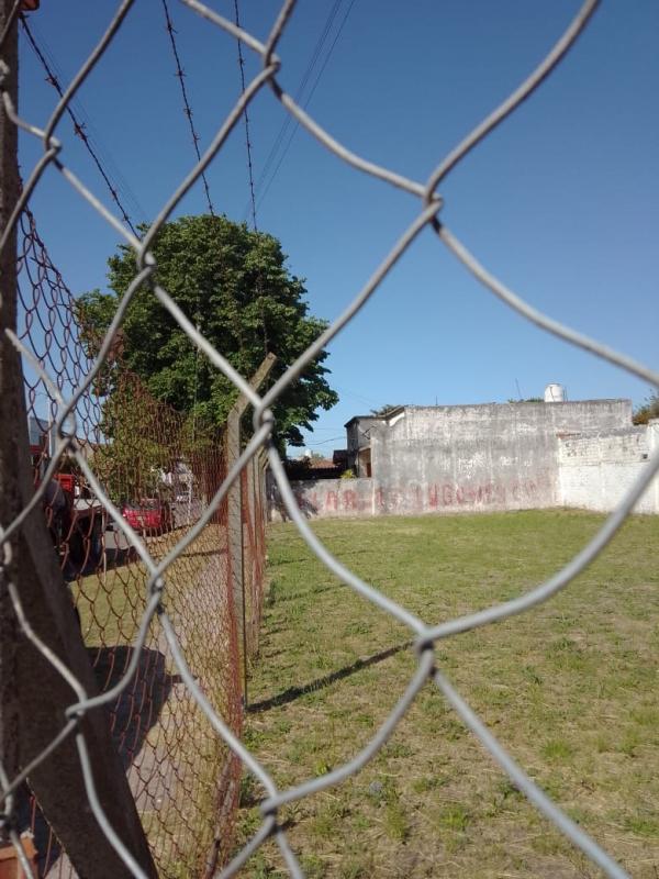 Imagen 4