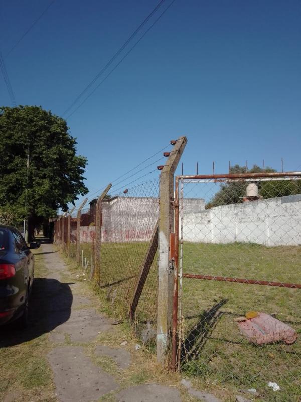Imagen 5