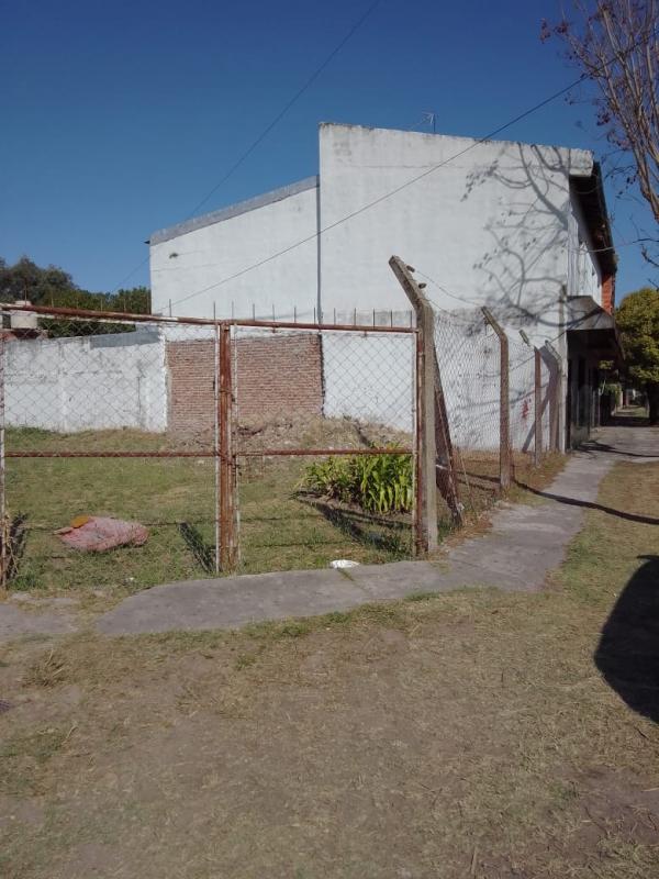 Imagen 6