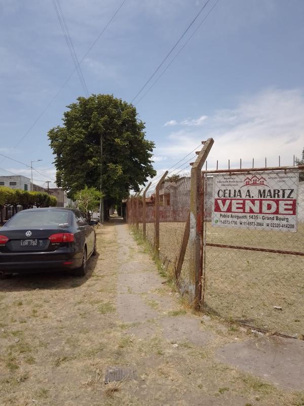 Imagen 8