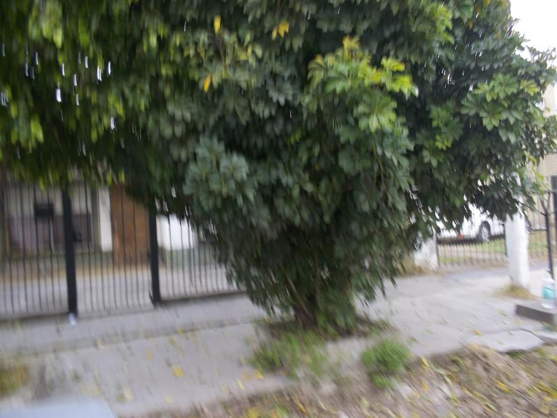 Imagen 4