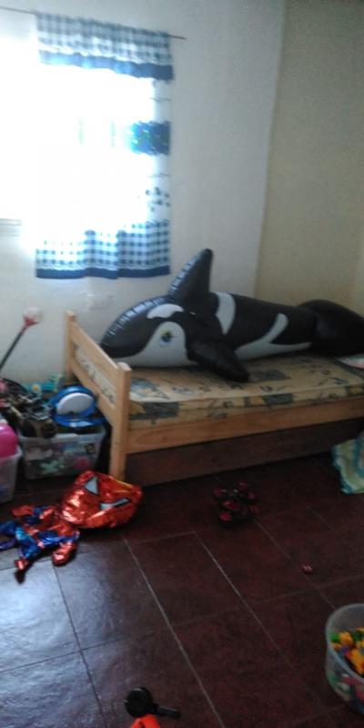 Imagen 13