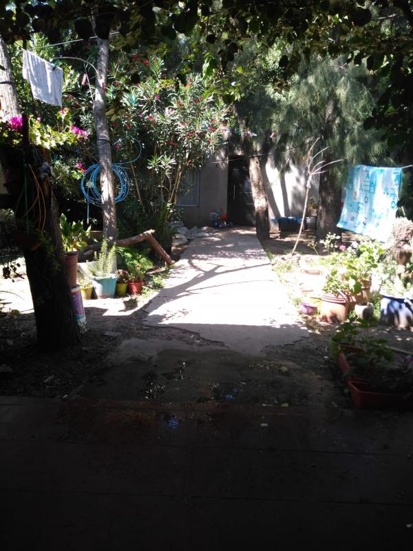 Imagen 15