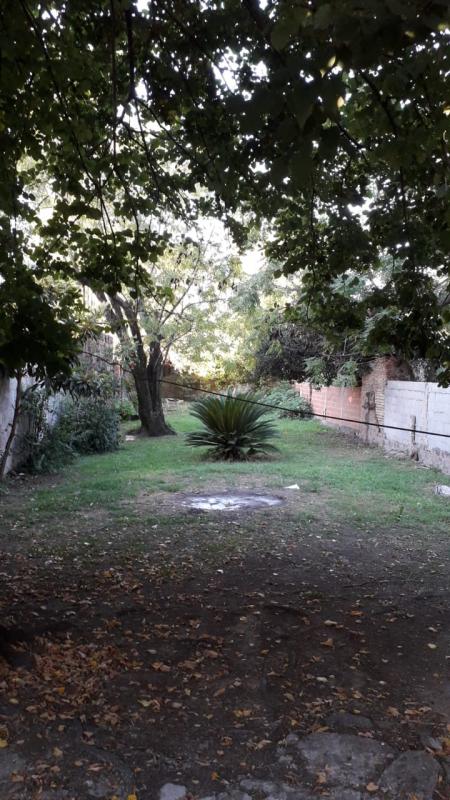 Imagen 13