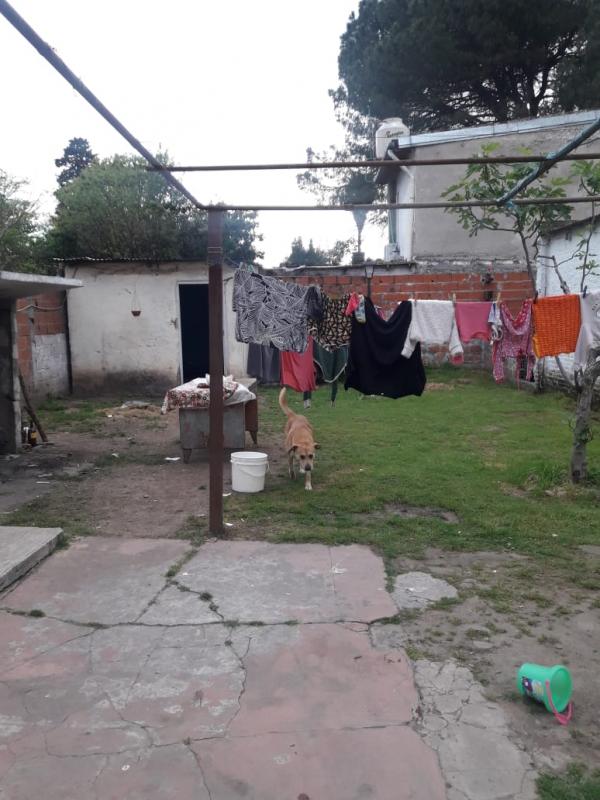 Imagen 5