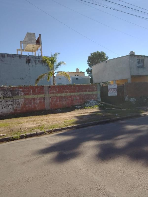 Imagen 3