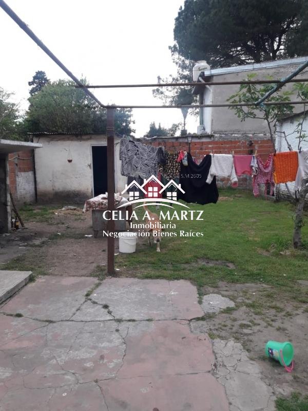 Imagen 5