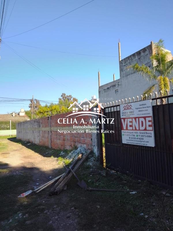 Imagen 2